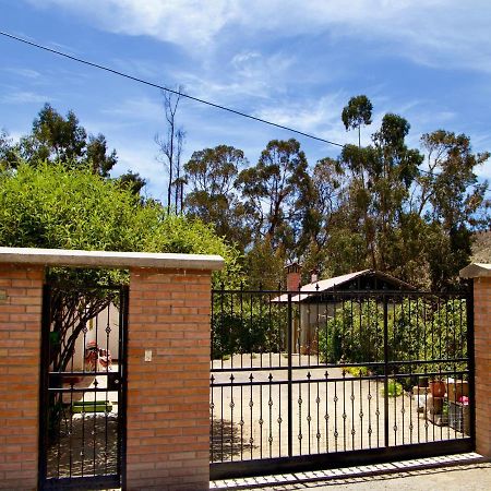Hostal Vientos Del Altiplano Putre Exteriör bild