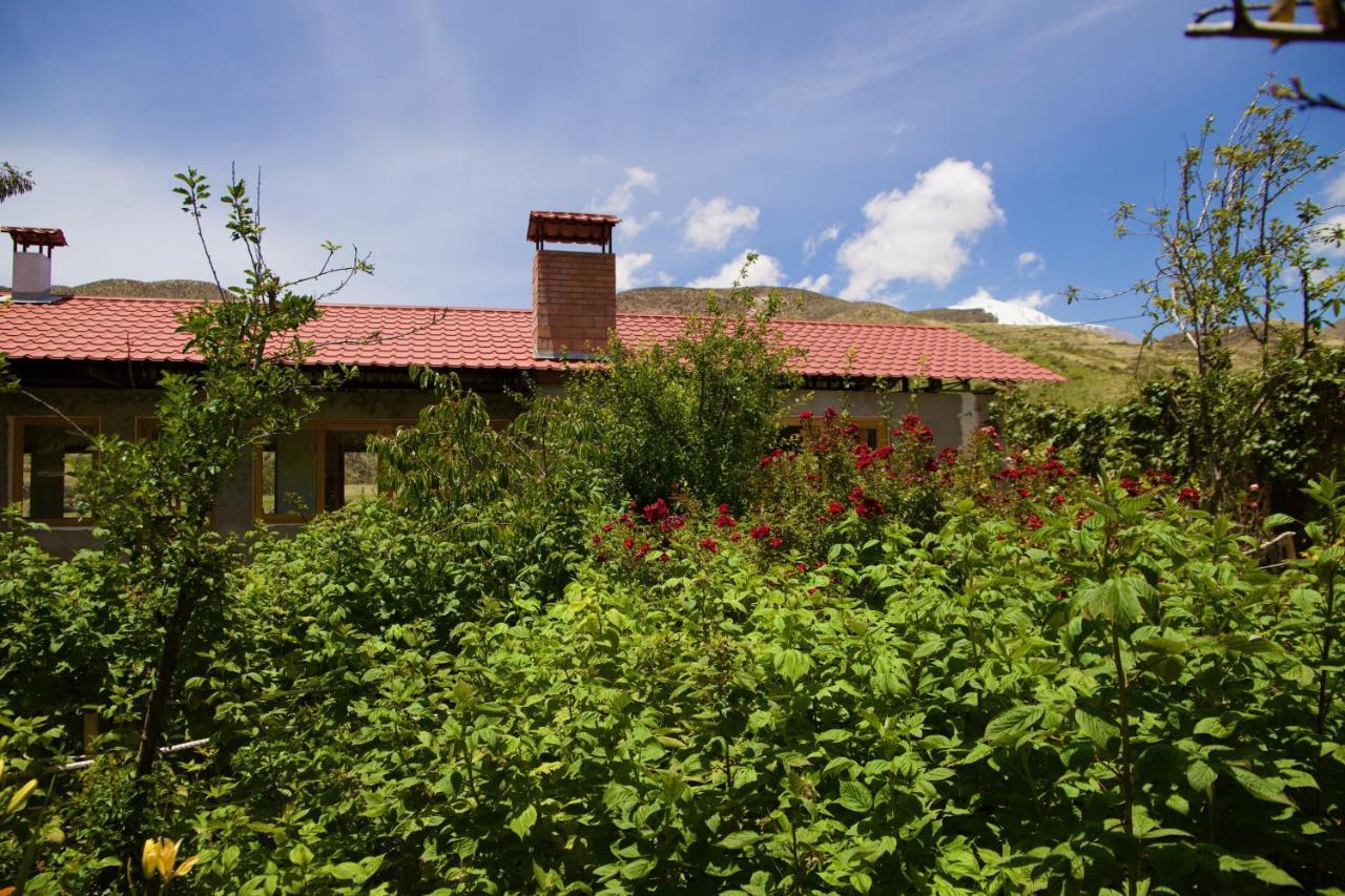 Hostal Vientos Del Altiplano Putre Exteriör bild