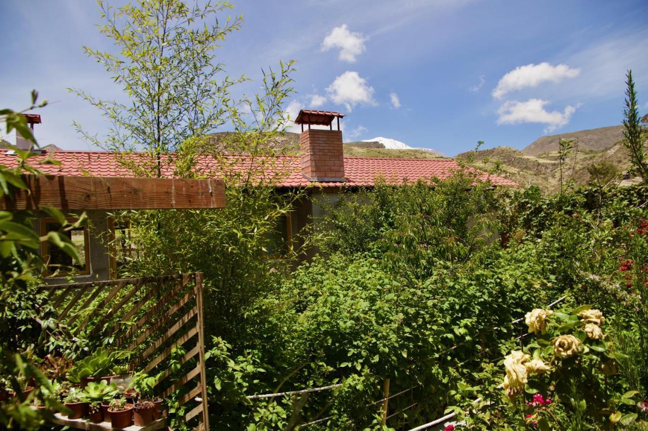 Hostal Vientos Del Altiplano Putre Exteriör bild