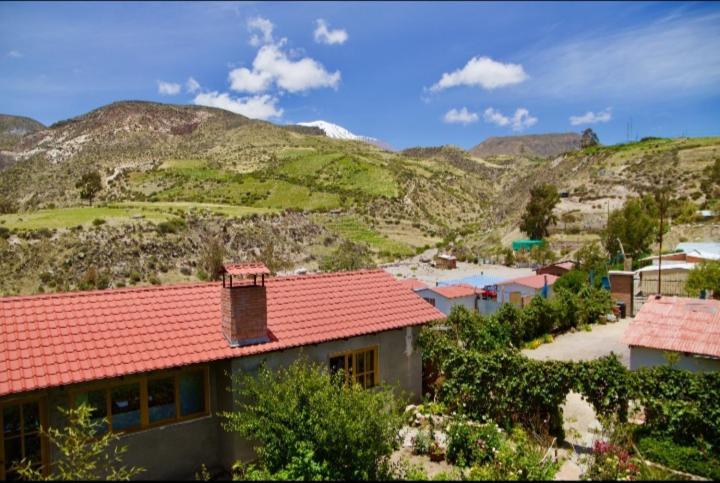 Hostal Vientos Del Altiplano Putre Exteriör bild